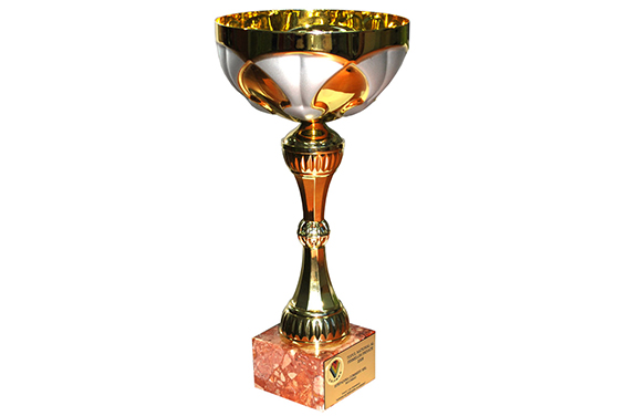 Cupa Locul 1 Top Național România 2008
